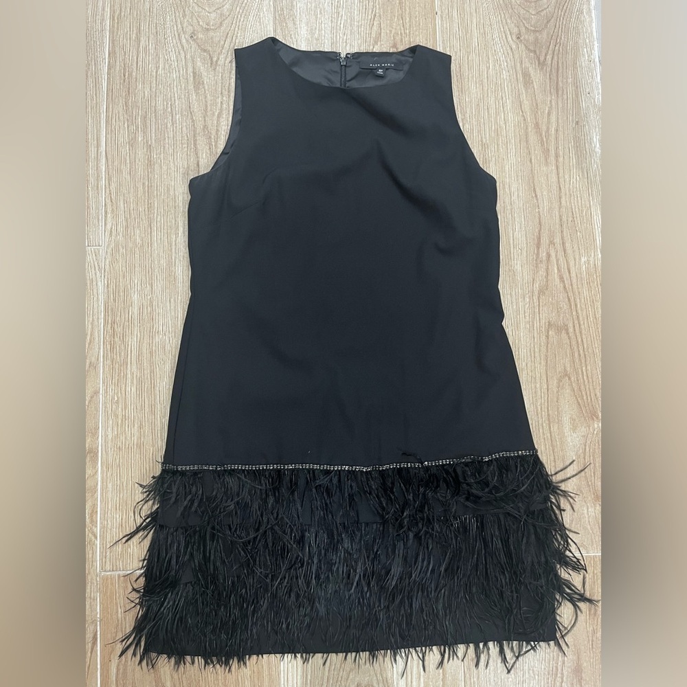 Alex Marie Black Feather & Rhinestone Dress - Picture 6 of 6